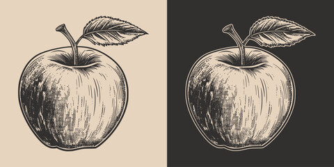 Set of vintage retro woodcut linocut engraving gravure sketch apple. Can be used like emblem, logo. mark, poster or print. Monochrome Graphic Art. Vector. Hand drawn element in antique