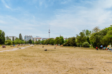 große Freifläche mit Bäumen und Sträuchern mit Berlin und seinem Wahrzeichen im Hintergrund © Immobiliengeflüster 