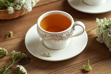 Yarrow tea with fresh blooming Achillea milefolium plant