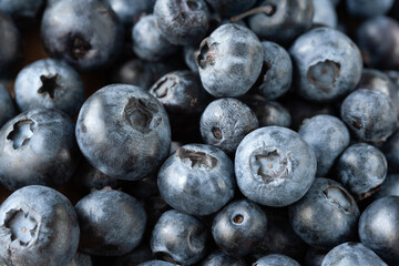 Blueberry background. Macro texture of fresh blueberry berries closeup. Sprinkle blueberries. Ripe blueberries with copy space. Scattered fresh blueberries. Selective focus