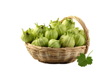 A realistic portrait of Gooseberry in a basket isolated PNG