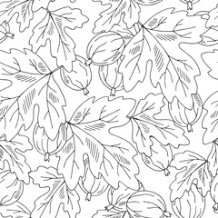 Fototapeta premium Gooseberry berry seamless pattern background graphic black white sketch illustration vector 