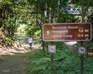 Big Sur, CA, USA – July 18, 2023: A woman hikes along the Buzzard’s Roost Loop trail in Pfeiffer Big Sur State Park, in Big Sur, CA.