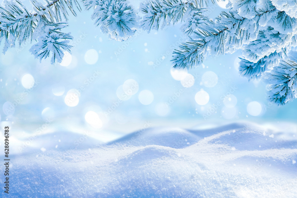 Leinwandbilder beautiful winter background image of frosted spruce branches and small drifts of pure snow with boke