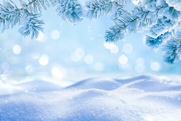 Beautiful winter background image of frosted spruce branches and small drifts of pure snow with...
