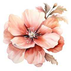 watercolor red flower isolated , AI Generated