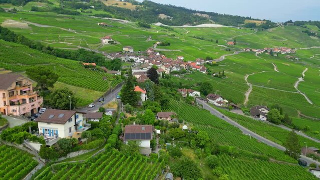 Aerial view of vineyards on shores Geneva Lake in Switzerland. Lavaux wine region with many wineries and vineyards