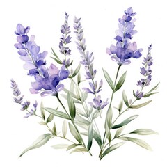 watercolor blue flower isolated , AI Generated