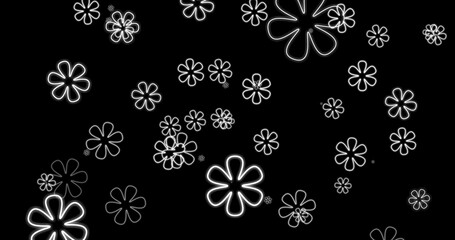 Easter banner, white flowers on the black background