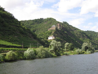 Landschaft an der Mosel mit Weinbergen