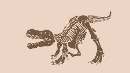 Graphical  vintage skeleton of tyrannosaurus , vector dinosaur of jurassic period, illustration for educational books,printing