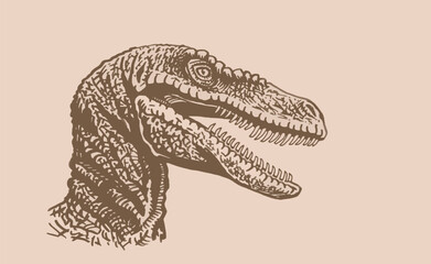 Graphical vintage portrait of raptor, vector illustration,head of dinosaur