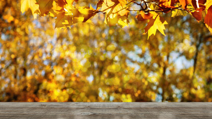 bright golden maple tree leaf branch over empty wooden table on blurred bokeh light background, idyllic autumn nature scene with space for product presentation