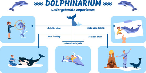 Dolphinarium Flat Infographic