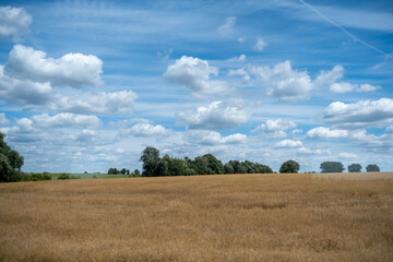 Obraz premium landscape with sky