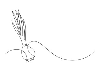 Onion bulb. Continuous line drawing. Food doodle. 