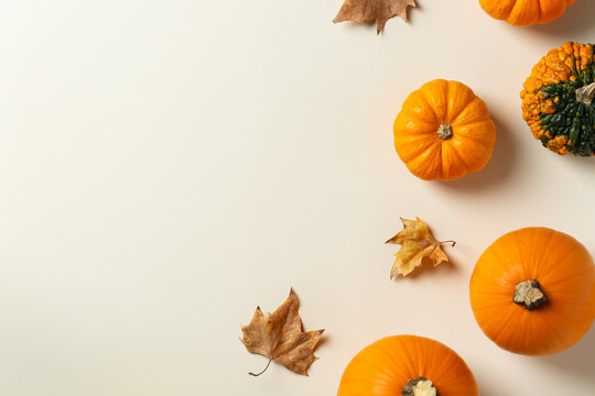 Autumn fall thanksgiving day composition with decorative pumpkins