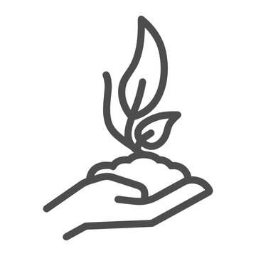 Verkkoelamys Kehitys