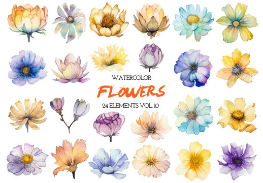 Watercolor painted flowers. Hand drawn flower design elements isolated on white background.