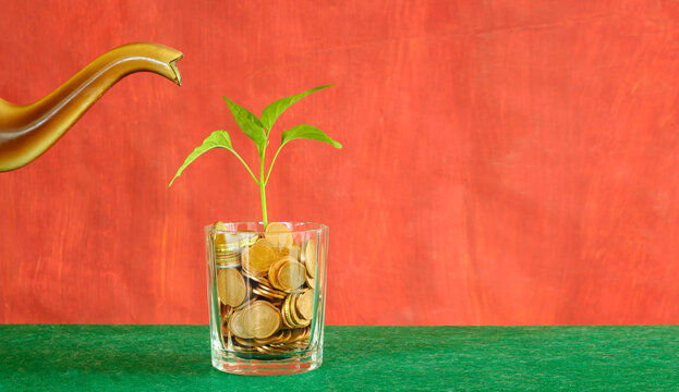 business concept, Plant Growing In Savings Coins and watering can. Investment,growing wealth,ideas and innovation