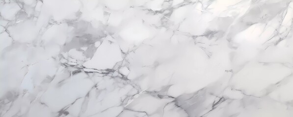 Obraz premium A white marble with black veins background