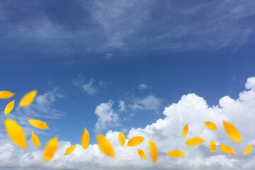 夏空にヒマワリの花びらが舞う、晴れやかな背景イメージ