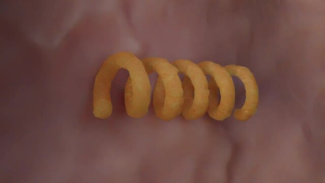 Treponema pallidum bacteria causing syphilis is a sexually transmitted infection - 3d illustration