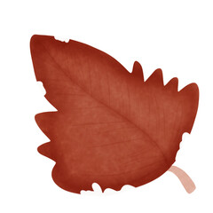 Red leaf 