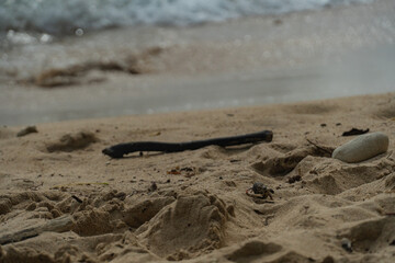 sea background the sand