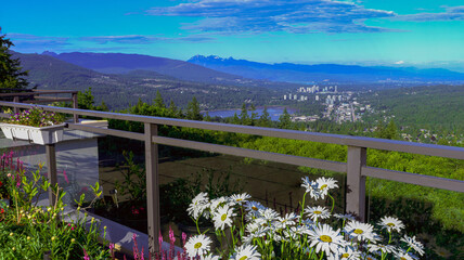 Scenic view of Fraser Valley, BC, in summer, as seen from a Burnaby Mountain patio, with Shasta daisies in foreground and mountains on horizon. - obrazy, fototapety, plakaty