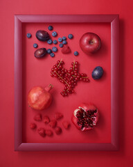 Red apple, plums, pomegranates, blueberry, raspberry and currant