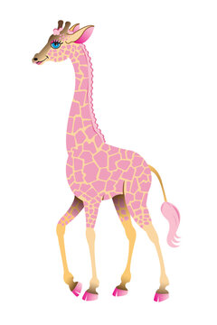 Pink giraffe isolated on white background, vector based image.