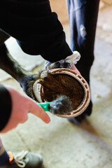 Close detail for repairing horse hoofs