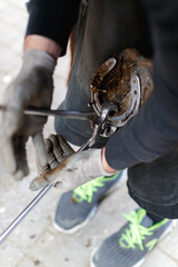 Close detail for repairing horse hoofs