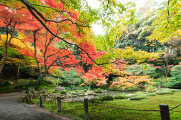 紅葉のある日本庭園