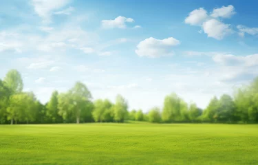 Stickers pour porte Paysage a sunny green field with sky background with trees, in the style of blurred, shaped canvas, modern, tranquil gardenscapes, landscape-focused, light-filled