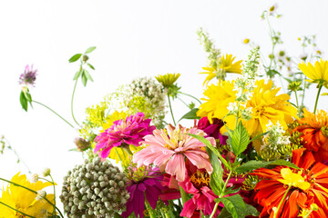 Summer bouquet of colorful Zinnia, onion inflorescences and mint sprigs, Rudbeckia Goldquelle and red clover, Ranunculus and Matricaria, home decoration with flowers