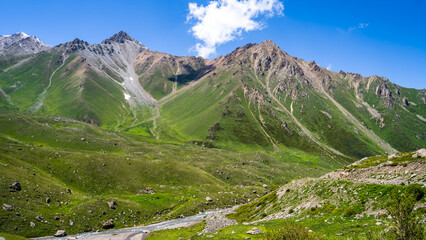 Fototapeta premium beautiful mountain gorge. summer mountains. green gorge
