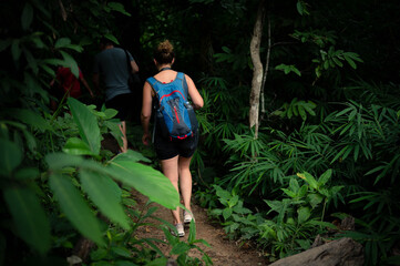 Naklejka na ściany i meble Woman hiking in the rainforest