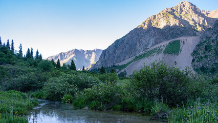 Obraz premium a river in a beautiful mountain gorge. the green gorge. summer mountains