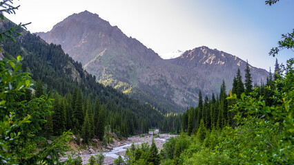a river in a beautiful mountain gorge. the green gorge. summer mountains