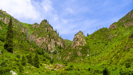beautiful mountain gorge. the green gorge. summer mountains
