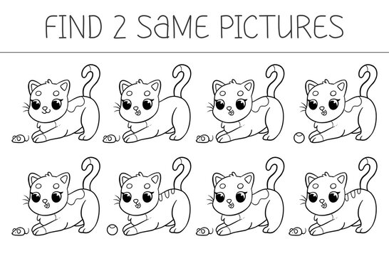 Find two some pictures is an educational game for kids with cat. Cat coloring book. Vector illustration.