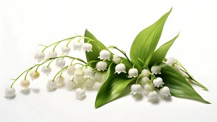 Foto op Aluminium Lily of the valley, flowers on a white background, lilies, lily of the valley on a white background, first may, 1er mai, fête du travail, green leaves, wild flowers © GrafitiRex