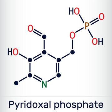 Pyridoxal phosphate, PLP molecule. It is active form of vitamin B6 and coenzyme. Skeletal chemical formula. Vector