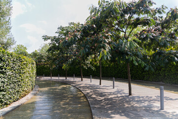 Krasnodar Park or Galitsky Park, a city park located in the northeast of the center of Krasnodar...