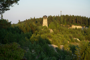 Wieża widokowa w lesie wybudowana z kamienia - obrazy, fototapety, plakaty