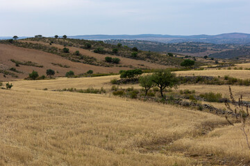Fototapeta na wymiar Dry land on the Algarve region