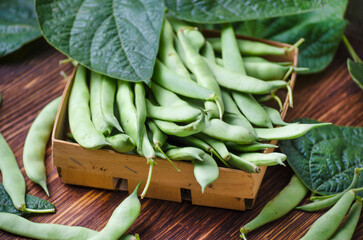 Pods of young, fresh, green asparagus beans
