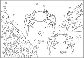 Adventure Coloring Book Animal Kingdom and Wild Safari